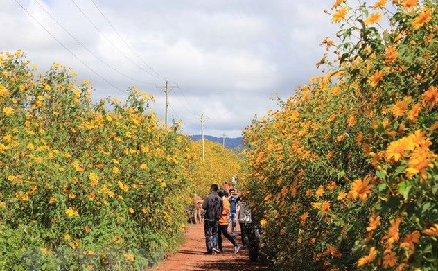 Bắc Trung Bộ trưa chiều trời nắng, nhiệt độ có nơi trên 27 độ C
